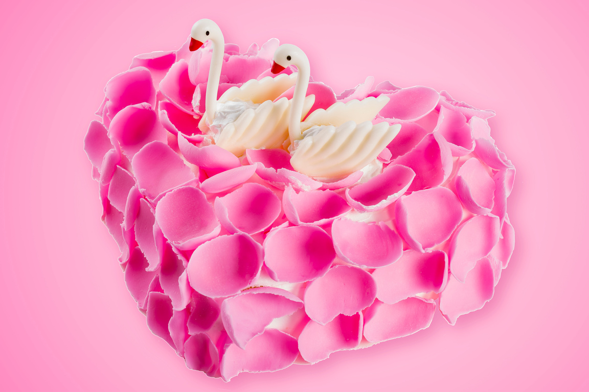 Love swan cake